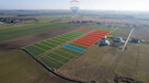 Działka z WZ, blisko Gąsek o pow. 941 m2! - 11