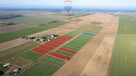 Działka z wydanymi WZ, 1344 m2! - 12