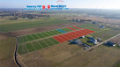 Działka z wydanymi WZ, 1065 m2! - 6