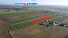 Działka z wydanymi WZ, 1065 m2! - 6