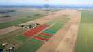 Działka z wydanymi WZ, 1065 m2! - 7