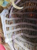 Peruka dla Kobiet Damska krótkie włosy ciemny blond brązowe - 7