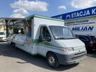 Fiat Ducato Autosklep mięso Gastronomiczny Food Truck Foodtruck sklep bar Borco 01 - 7