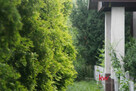 Dom Ksawerów, Zachodnia - 7
