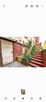 Lokal 30m2 - 5