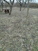 Działka budowlana na sprzedaż - 4