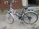 Rower damka Blackshox - 2