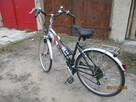 Rower damka Blackshox - 5