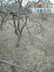 Działka budowlana na sprzedaż - 3