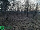 Działka w otulinie lasu - 2