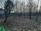 Działka w otulinie lasu - 5