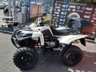 Access Inny Access Triton 400 - 2