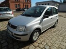 Fiat Panda - 2