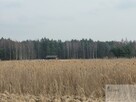 Działka budowlana Ciągowice gm. Łazy, Spacerowa - 4