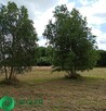 Działka niedaleko lasu, dobra lokata kapitału - 2
