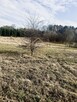 Działka rolna przy lesie-cisza, spokój,sama natura - 5