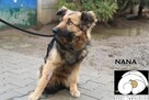 Nana szuka domu - 5