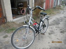 Rower damka Blackshox - 4