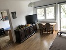 Wynajmem 2 pokoje 39m2 - 7
