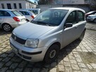 Fiat Panda - 2