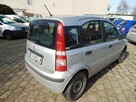 Fiat Panda - 4