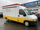 Fiat Ducato Autosklep pieczywa Gastronomiczny Food Truck Foodtruck sklep Borco - 1