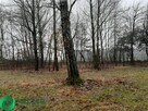 Działka w otulinie lasu - 7
