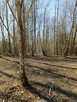 Działka 2500 m2 - 3