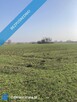 Działka 5 zł/m2 Zachodniopomorskie - 6