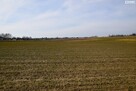 Działka budowlana Panieńszczyzna gm. Jastków - 2