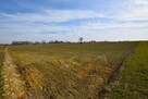 Działka budowlana Panieńszczyzna gm. Jastków - 3