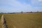 Działka budowlana Panieńszczyzna gm. Jastków - 4