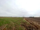 Działka rolna MARYSIN  gm. JASTKÓW - 2