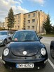 New Beetle - 2