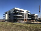 Wójtowa Wieś 2 pokoje - 3