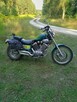 Motor Yamaha Viragro531 - 2