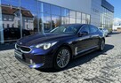 Kia Stinger Wersja L / FV23% / serwisowany w aso / 2.0 T-GDI 245 KM 8AT - 2