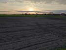 Sprzedam Działka Rolna Gliwice Ostropa Południe - 4