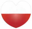 Praca dla lektora POLSKIEGO stacjonarnie KATOWICE