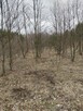 Sprzedam działkę bez pośredników - 3