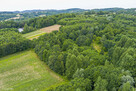 Działka rolna- Buchcice koło Tuchowa - 3
