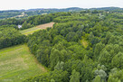 Działka rolna- Buchcice koło Tuchowa - 4