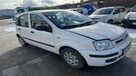 Fiat Panda - 1