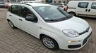 Fiat Panda - 1