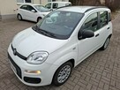 Fiat Panda - 2