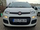 Fiat Panda - 3