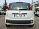 Fiat Panda - 5