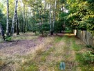 Działka budowlana Niemianowice gm. Gózd, - 3