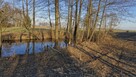 Gospodarstwo rolne 8800 m2, dla każdego. Gmina Szadek. - 15