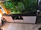sprzedam akwarium 450 L - 5